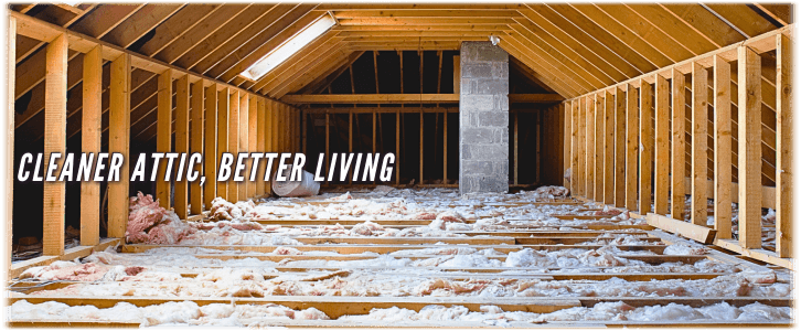 Attic Cleaning Margate FL